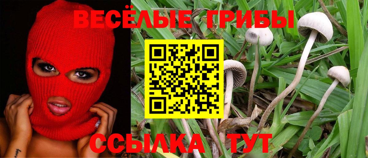 Лабытнанги  Псилоцибиновые грибы GOLDEN TEACHER  Галлюциногенные грибы Psilocybe  Вход с VPN 